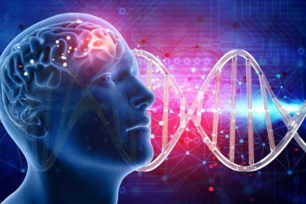 Global Protection for Genetic Resources & Traditional Knowledge