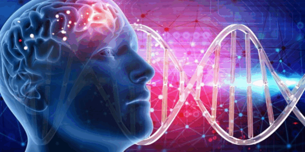 Global Protection for Genetic Resources & Traditional Knowledge