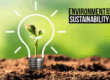 The Rise of Environmental Sustainability in IP Policy