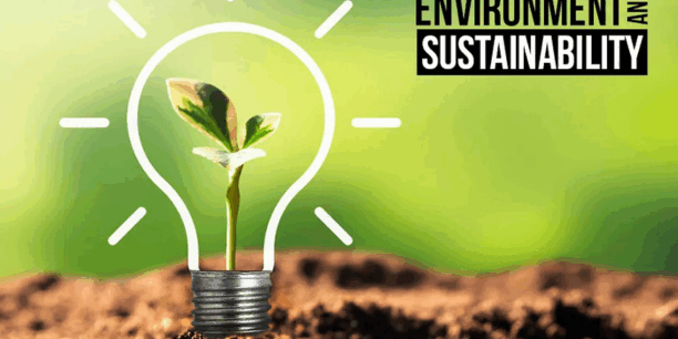 The Rise of Environmental Sustainability in IP Policy The Rise of Environmental Sustainability in IP Policy