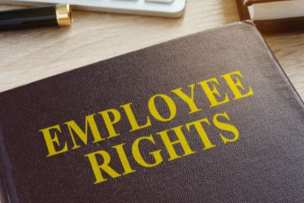 What Nigerian Employers & Employees Should Know About the Law What Nigerian Employers & Employees Should Know About the Law